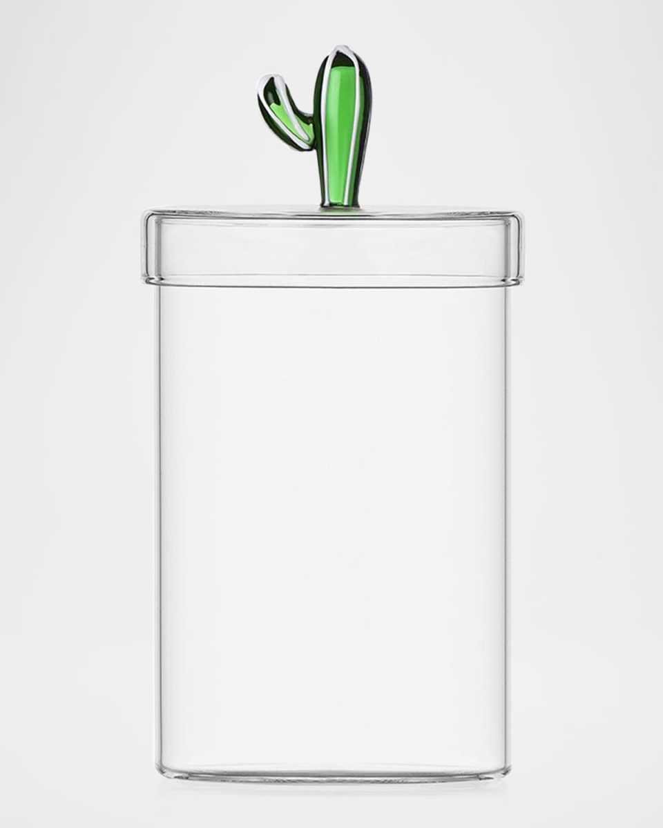 Desert Plants Cactus Box with Lid